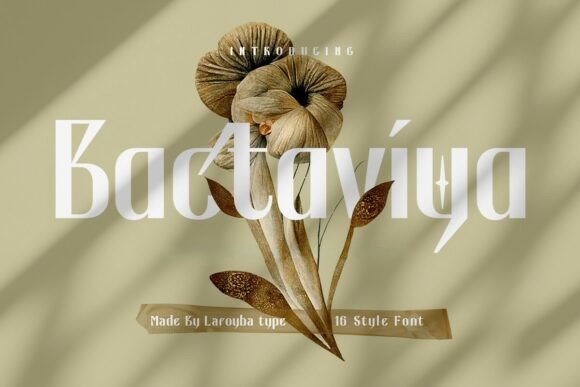 Bactaviya: A Thoughtful Sans Serif for Editorial Calm
