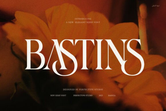 Bastins Serif Font for Scroll-Stopping Brand Content