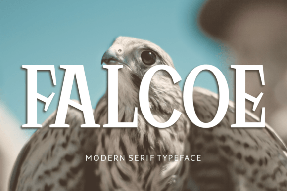 Falcoe: A Serif Font Built for Scroll-Stopping Brand Moments