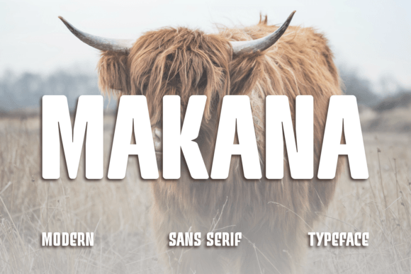 Makana: A Thoughtful Sans Serif for Modern Brand Identity