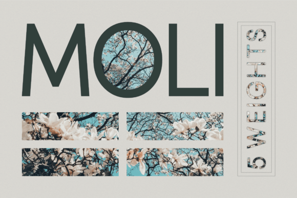 Moli: A Sans Serif Typeface for Thoughtful Editorial Design