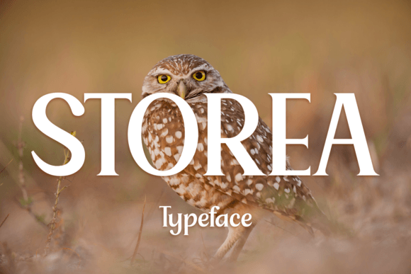 Storea: A Serif Font That Elevates Handmade Design